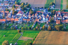 Vue d'oiseau de Rue principale à Freckenfeld dans le département Rhénanie-Palatinat, Allemagne