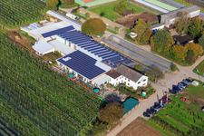 Marché agricole de Zapf, ferme de fruits et d'asperges, café de la ferme Zapf à Kandel dans le département Rhénanie-Palatinat, Allemagne d'en haut
