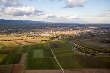 Vue aérienne de À l'ouest d'Ebenberg à Landau in der Pfalz dans le département Rhénanie-Palatinat, Allemagne