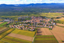 Vue aérienne de Vue du village entre les vignes automnales depuis le sud-est à le quartier Mörzheim in Landau in der Pfalz dans le département Rhénanie-Palatinat, Allemagne