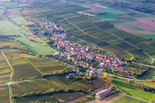 Vue aérienne de Champs agricoles et surfaces utilisables à Niederhorbach dans le département Rhénanie-Palatinat, Allemagne