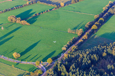 Vue aérienne de Avions de sport approchant de l'aérodrome Schweighofen à Schweighofen dans le département Rhénanie-Palatinat, Allemagne