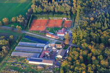 Vue aérienne de Waldhof Frey en bordure du Bienwald et des courts de tennis à Steinfeld dans le département Rhénanie-Palatinat, Allemagne