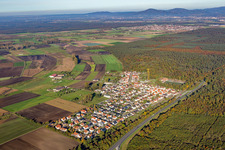 Vue aérienne de Quartier Riedrode in Bürstadt dans le département Hesse, Allemagne