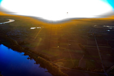 Photographie aérienne de Boucle du Rhin à Gernsheim dans le département Hesse, Allemagne