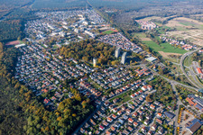 Vue aérienne de Zone d'habitation dans le quartier du Dorschberg à Wörth am Rhein dans le département Rhénanie-Palatinat, Allemagne