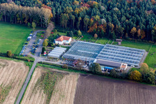 Vue aérienne de Zones de toit en verre dans les rangées de serres pour la culture de plantes succulentes de Kakteenland Steinfeld à Steinfeld dans le département Rhénanie-Palatinat, Allemagne