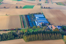 Vue aérienne de Jardinage à Vollmersweiler dans le département Rhénanie-Palatinat, Allemagne