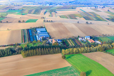 Photographie aérienne de Jardinage à Vollmersweiler dans le département Rhénanie-Palatinat, Allemagne
