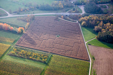 Vue aérienne de Labyrinthe - Labyrinthe de champ de maïs dans un champ à Göcklingen dans le département Rhénanie-Palatinat, Allemagne