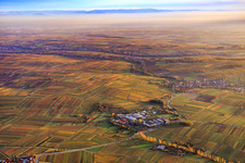 Vue aérienne de Grosspressereri à Ilbesheim bei Landau in der Pfalz dans le département Rhénanie-Palatinat, Allemagne