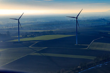 Vue aérienne de Parc éolien de Minfeld à Minfeld dans le département Rhénanie-Palatinat, Allemagne