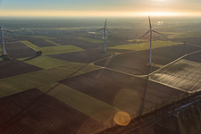Vue aérienne de Parc éolien de Minfeld à Minfeld dans le département Rhénanie-Palatinat, Allemagne