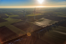 Photographie aérienne de Parc éolien de Minfeld à Minfeld dans le département Rhénanie-Palatinat, Allemagne