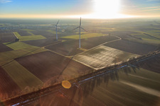Vue oblique de Parc éolien de Minfeld à Minfeld dans le département Rhénanie-Palatinat, Allemagne