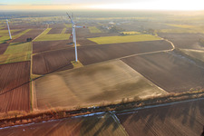 Parc éolien de Minfeld à Minfeld dans le département Rhénanie-Palatinat, Allemagne hors des airs