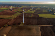 Parc éolien de Minfeld à Minfeld dans le département Rhénanie-Palatinat, Allemagne vue d'en haut