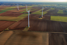 Parc éolien de Minfeld à Minfeld dans le département Rhénanie-Palatinat, Allemagne depuis l'avion