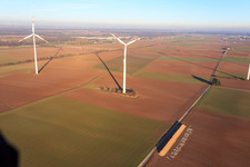 Enregistrement par drone de Parc éolien de Minfeld à Minfeld dans le département Rhénanie-Palatinat, Allemagne