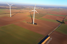 Image drone de Parc éolien de Minfeld à Minfeld dans le département Rhénanie-Palatinat, Allemagne