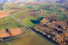 Vue oblique de Décharge à Niederhorbach dans le département Rhénanie-Palatinat, Allemagne