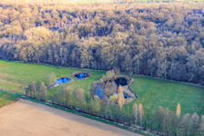 Vue aérienne de Biotope d'Altbach en hiver à le quartier Minderslachen in Kandel dans le département Rhénanie-Palatinat, Allemagne