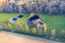 Photographie aérienne de Biotope d'Altbach en hiver à le quartier Minderslachen in Kandel dans le département Rhénanie-Palatinat, Allemagne