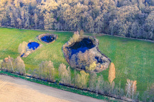 Vue oblique de Biotope d'Altbach en hiver à le quartier Minderslachen in Kandel dans le département Rhénanie-Palatinat, Allemagne
