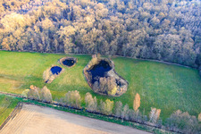 Biotope d'Altbach en hiver à le quartier Minderslachen in Kandel dans le département Rhénanie-Palatinat, Allemagne hors des airs