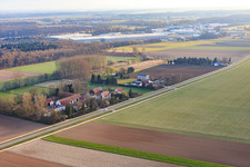 Vue aérienne de Quartier de Höfen en hiver du sud-ouest à le quartier Minderslachen in Kandel dans le département Rhénanie-Palatinat, Allemagne
