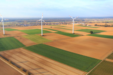 Parc éolien de Minfeld à Minfeld dans le département Rhénanie-Palatinat, Allemagne vue d'en haut