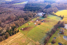 Poulailler Mobeler de l'élevage de poulets biologiques de Hofladen Stoltz à Hardtmühle à Kandel dans le département Rhénanie-Palatinat, Allemagne vue d'en haut