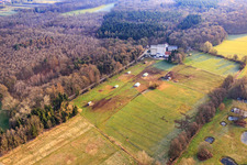 Poulailler Mobeler de l'élevage de poulets biologiques de Hofladen Stoltz à Hardtmühle à Kandel dans le département Rhénanie-Palatinat, Allemagne depuis l'avion