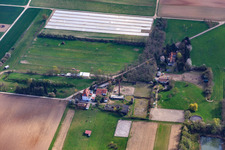 Vue aérienne de Écurie Spieß et MRC-Harthausen à Harthausen dans le département Rhénanie-Palatinat, Allemagne