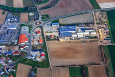 Vue aérienne de Weidenseehof avec Geil GbR Culture de légumes et technologie d'emballage et service Geil GmbH à Harthausen dans le département Rhénanie-Palatinat, Allemagne