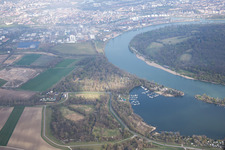 Vue aérienne de Étang de pins à le quartier Rheingönheim in Ludwigshafen am Rhein dans le département Rhénanie-Palatinat, Allemagne
