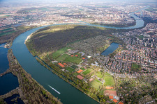 Vue aérienne de Parc forestier et île Rice à le quartier Niederfeld in Mannheim dans le département Bade-Wurtemberg, Allemagne