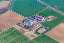 Vue aérienne de Propriété de la ferme Karlshof à Roßdorf dans le département Hesse, Allemagne