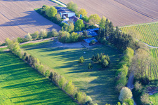 Vue aérienne de Enclos Trakehner à Minfeld dans le département Rhénanie-Palatinat, Allemagne
