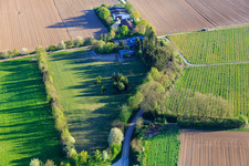 Photographie aérienne de Enclos Trakehner à Minfeld dans le département Rhénanie-Palatinat, Allemagne