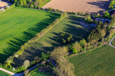 Enclos Trakehner à Minfeld dans le département Rhénanie-Palatinat, Allemagne d'en haut