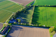 Enregistrement par drone de Paddock de Trakehner-Friedrich à Minfeld dans le département Rhénanie-Palatinat, Allemagne
