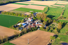 Vue aérienne de Ranch Palatino à Steinweiler dans le département Rhénanie-Palatinat, Allemagne