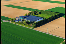 Vue aérienne de Sudetenhof à Steinweiler dans le département Rhénanie-Palatinat, Allemagne