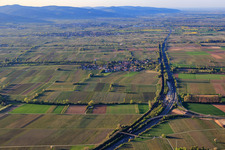 Vue aérienne de Chantier de construction de la jonction autoroutière A65-B272 à le quartier Dammheim in Landau in der Pfalz dans le département Rhénanie-Palatinat, Allemagne