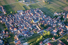 Vue aérienne de (Palatinat) à Kirrweiler dans le département Rhénanie-Palatinat, Allemagne