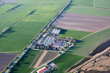 Vue aérienne de Pépinière Tils à le quartier Rheindürkheim in Worms dans le département Rhénanie-Palatinat, Allemagne