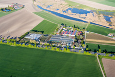 Vue aérienne de Des verrières dans les rangées de serres pour la culture des fleurs à la pépinière de Tils à le quartier Rheindürkheim in Worms dans le département Rhénanie-Palatinat, Allemagne