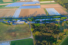 Vue aérienne de Aire de service Serways Alsbach Ouest sur l'A5 à le quartier Sandwiese in Alsbach-Hähnlein dans le département Hesse, Allemagne