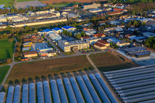Vue aérienne de Hope Media Europe eV à le quartier Sandwiese in Alsbach-Hähnlein dans le département Hesse, Allemagne